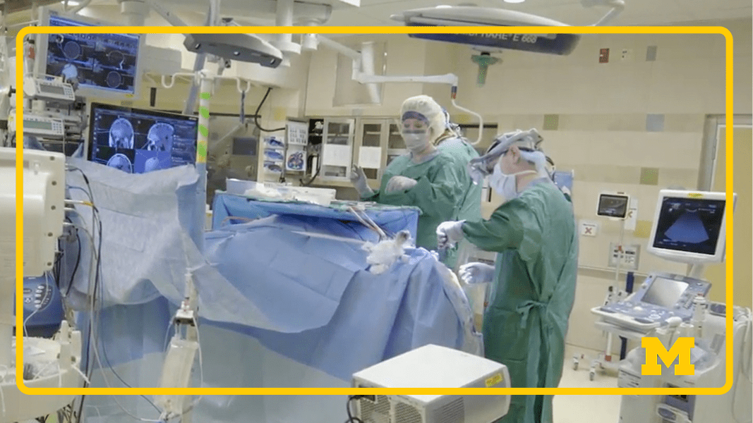 Surgeons operate